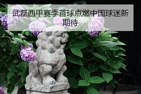 武磊西甲赛季首球点燃中国球迷新期待